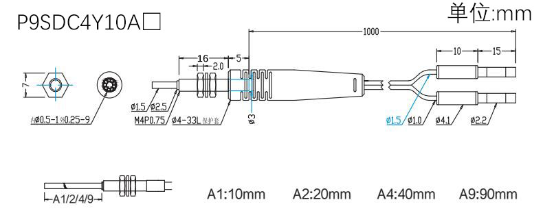 SDC4Y10-A.jpg