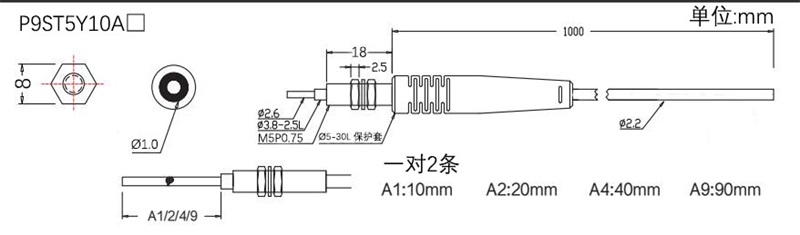 P9ST5Y10-A.jpg